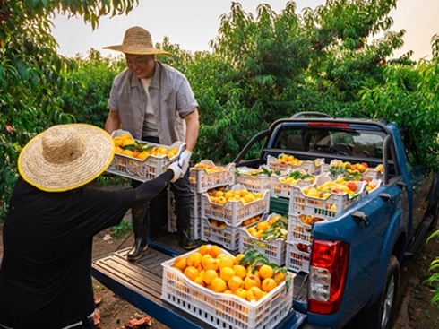 �����ծa(ch��n)�J�U6pro�M(j��n)�A�棺��(chu��ng)��·�ϵ�ʡ��֮�x