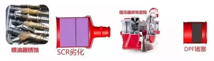2.webp (2).jpg