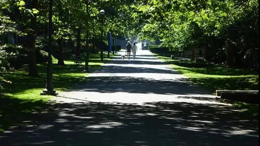 ����A(y��)��늄�؛܇��ȼ