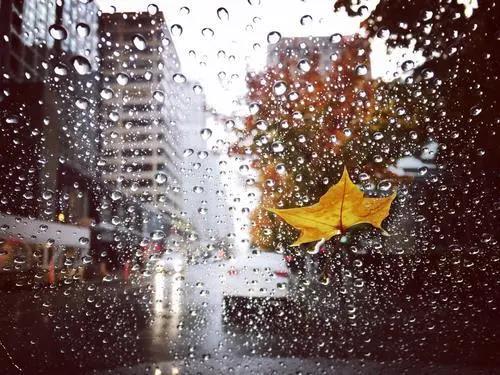 ���� | �����_܇����Щ��������ЩҪע��