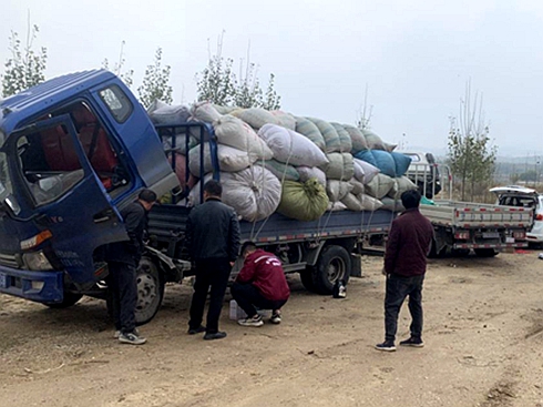 1̖����(w��) ����1�����Ñ����N�ĵġ�܇�ܼҡ�