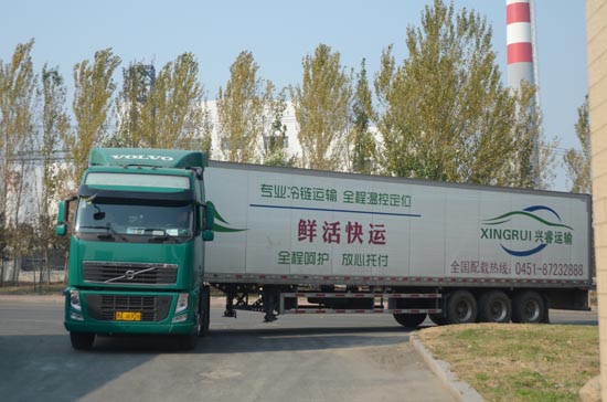 �d������֠�����܇ FH16 (2).JPG