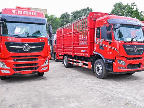 ���V��朅ǂ���ȼ���ؿ����x�|�L���y�ִ�����������˗U