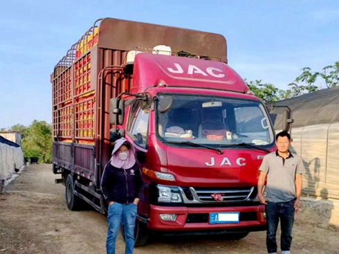 ����ʯ�ֺ÷��ޣ�ʯ���u���¸����E�ȫ�����o(h��)