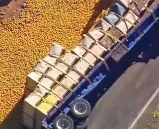 ����Ŀ�ɿڴ��Ŀ�܇�A���¹��������� 