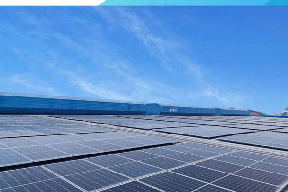 �Ї����\�Gɫ������Ƥ����ʽ�l(f��)��