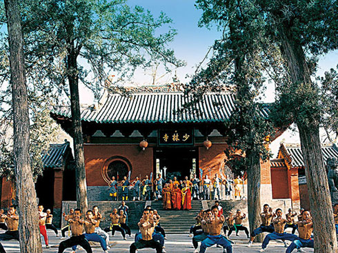 һ����ţ����ǽ����е������Ɇ���