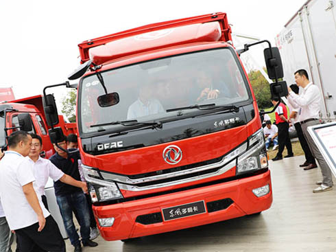 ��Ҏ(gu��)/�|(zh��)��(y��u) �o�B(t��i)�w�(y��n)�|�L(f��ng)������D6