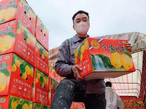 �����������˂��ġ���h���l(w��i)��(zh��n)��